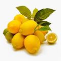 Case of Lemons (54 count)